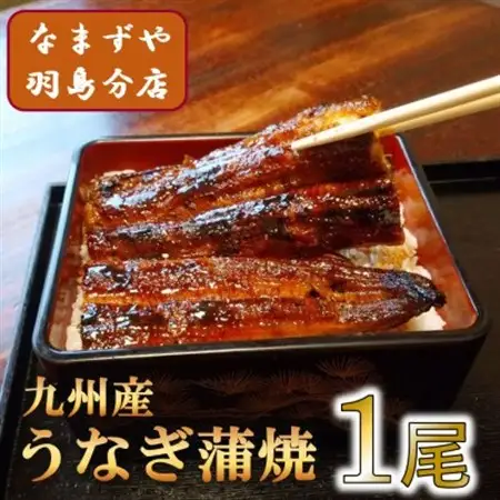九州産うなぎ蒲焼　1尾〈約120g〉_魚介・海産物 うなぎ  ウナギ 鰻_【配送不可地域：離島】【1533661】