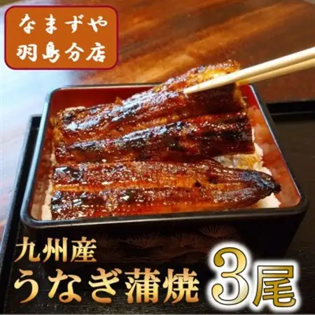 九州産うなぎ蒲焼　3尾〈計約360g〉_魚介・海産物 うなぎ  ウナギ 鰻_【配送不可地域：離島】【1533663】