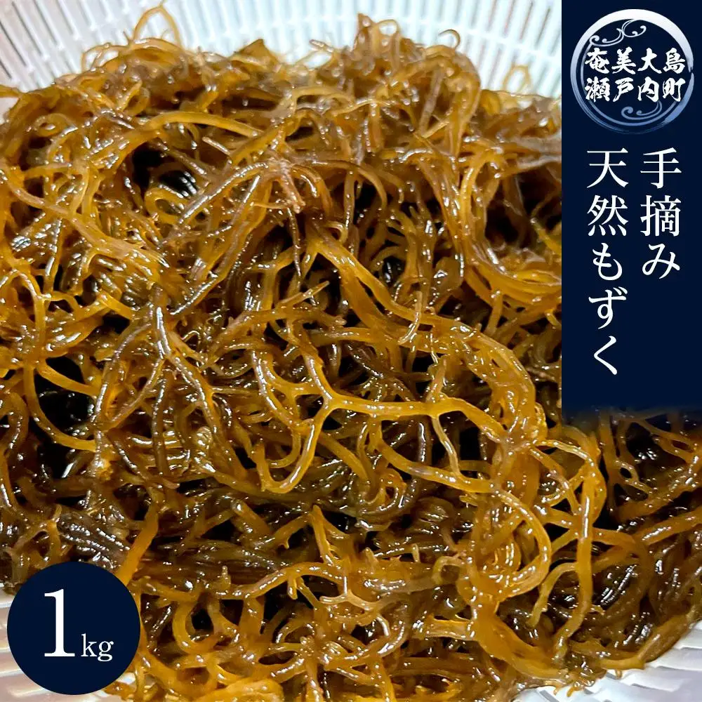 奄美大島瀬戸内町産　手摘み天然もずく 1Kg