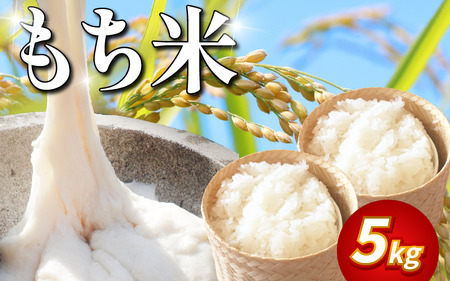 もち米 5kg 令和7年産 もち米