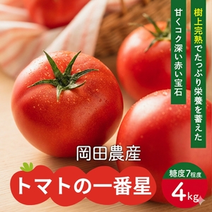 トマト 4kg トマトの一番星 野菜 とまと 完熟 高糖度 甘い 受賞 冷蔵配送