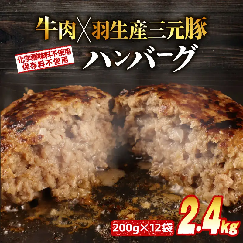 高評価★4.8 御礼！ 保存料不使用 無添加 ハンバーグ 個包装 2.4kg ギフト お歳暮 大判ハンバーグ