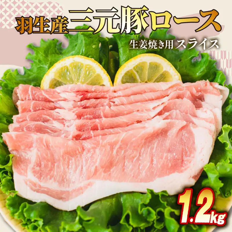 豚ロース 生姜焼き 1.2kg ( 300g ×4P ） 国産 豚ロース 冷凍