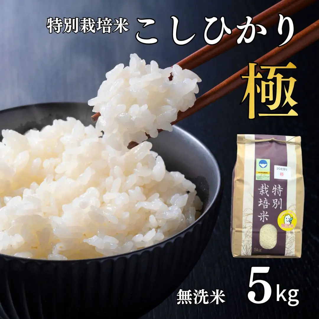 県認証 特別栽培米 コシヒカリ 「極」 5kg 無洗米 令和7年産米 こしひかり 新潟県認証 白米【012S087】