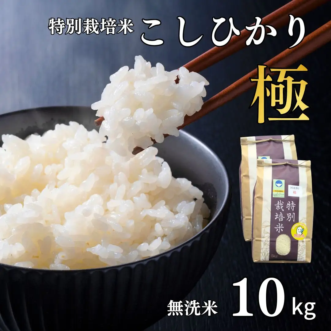 県認証 特別栽培米 コシヒカリ 「極」 10kg 無洗米 令和7年産米 こしひかり 新潟県認証 白米