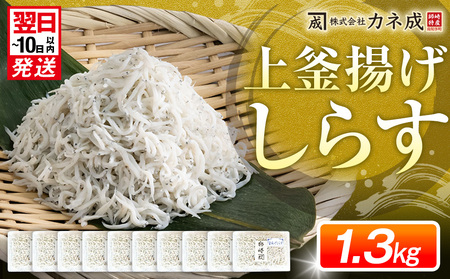釜揚げしらす プレミアム 約1.3kg(130g×10パック) 小分け 減塩 しらす