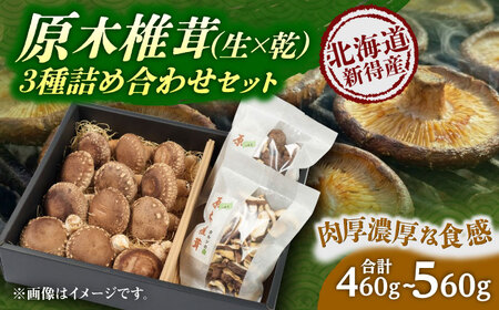 原木椎茸 生･乾燥 詰め合わせセット 椎茸 しいたけ [BNAU001]