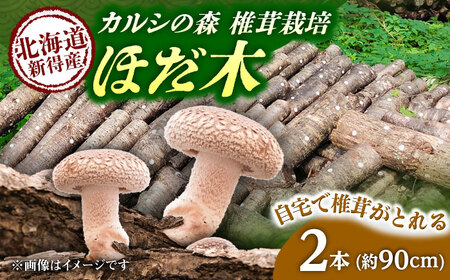 原木しいたけ栽培 ほだ木 2本 | 合同会社カルシ [BNAU004]