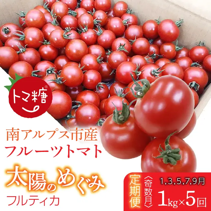 発送月固定定期便・フルーツトマト「トマ糖・太陽のめぐみ」フルティカ1kgを全5回（1月、3月、5月、7月、9月） ALPBI012 |定期便 高糖度 おすすめ 産地直送 新鮮 フレッシュ 高栄養素 南アルプス市 山梨 |
