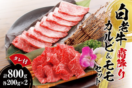 白老牛 霜降り カルビ＆モモセット計800ｇたれ付 焼き肉