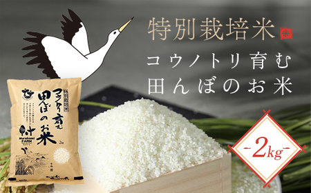 【先行予約 令和8年産】特別栽培米 コウノトリ育む田んぼのお米 2kg×1袋〈村上ファーム〉お米 おこめ 米 こめ コメ ご飯 ごはん 白米 2キロ 兵庫県 朝来市 AS1AB6