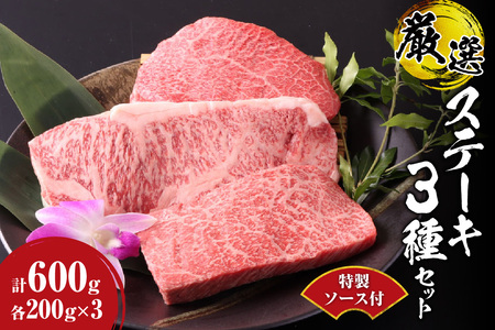 ステーキ 3種セット 合計600ｇ 特製ソース付
