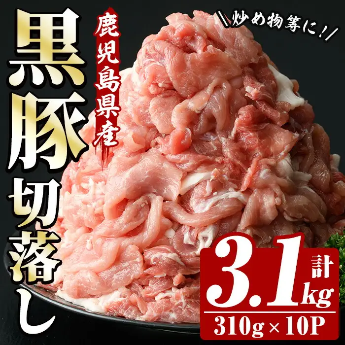 ☆大容量☆鹿児島県産恵味の黒豚 切落しセット 3.1kg（310g×10パック）小分け 便利【00-110-03】