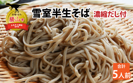 雪室半生そば 5人前（100g/1人前×5個セット） 濃縮だし付 [A-077005]