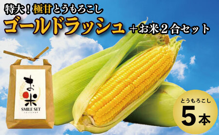 とうもろこし ゴールドラッシュ 5本 米 2合 セット 先行予約 とうもろこし 米