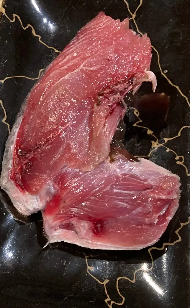 マグロのカマ塩締め 約400～500g まぐろ