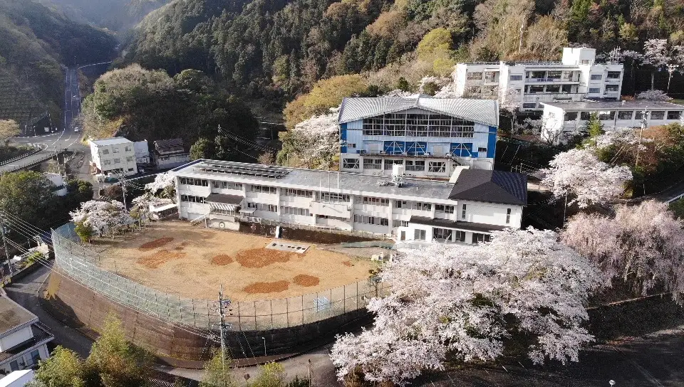中山間地域交流拠点施設　たねのや　ピザ体験　（２名）　リノベーション 体験 吉野川市美郷 ピザ窯 ピザ焼き