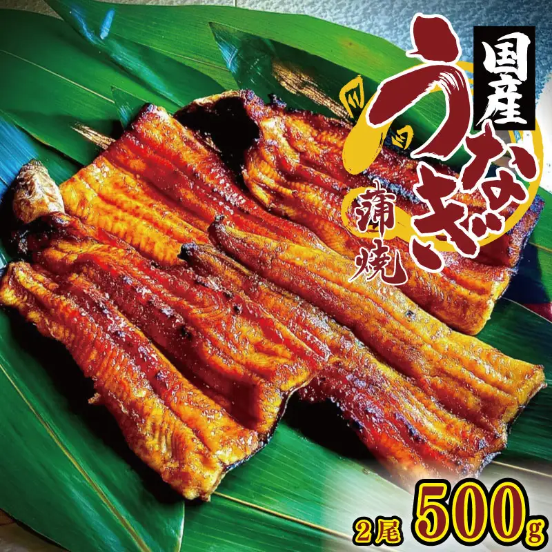 国産うなぎ 炭火焼  2尾 約500g タレ付 【 うなぎ 】