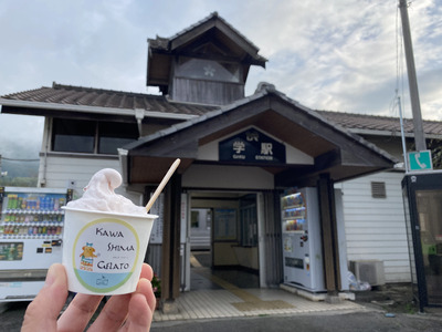 川島ジェラート 桜咲く 入学アイス（６個１箱セット）  ジェラート