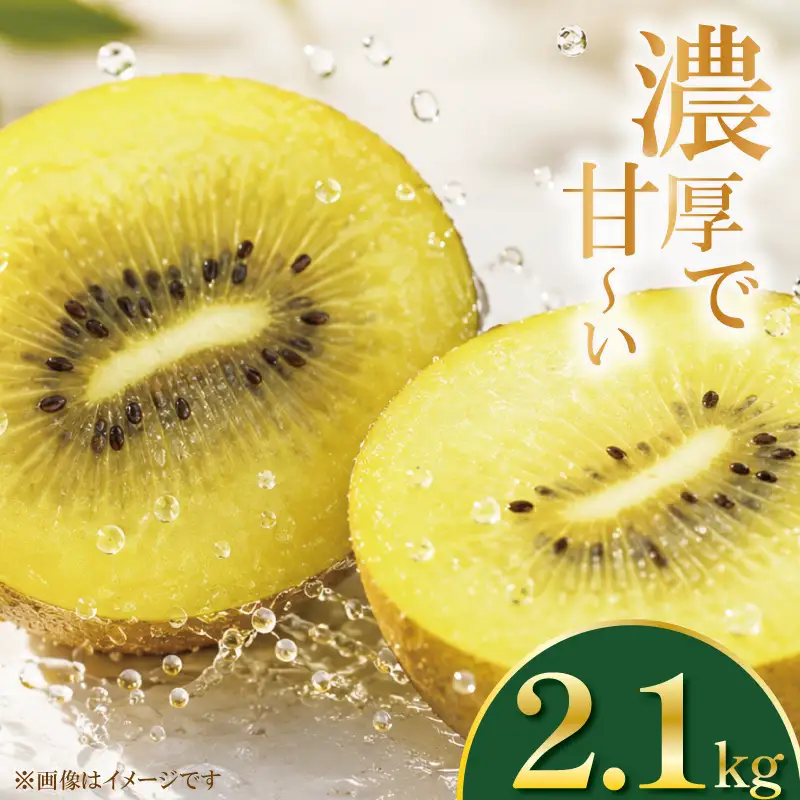 ゴールドキウイ 2.1kg イエロージョイ 2026年11月上旬～ キウイ