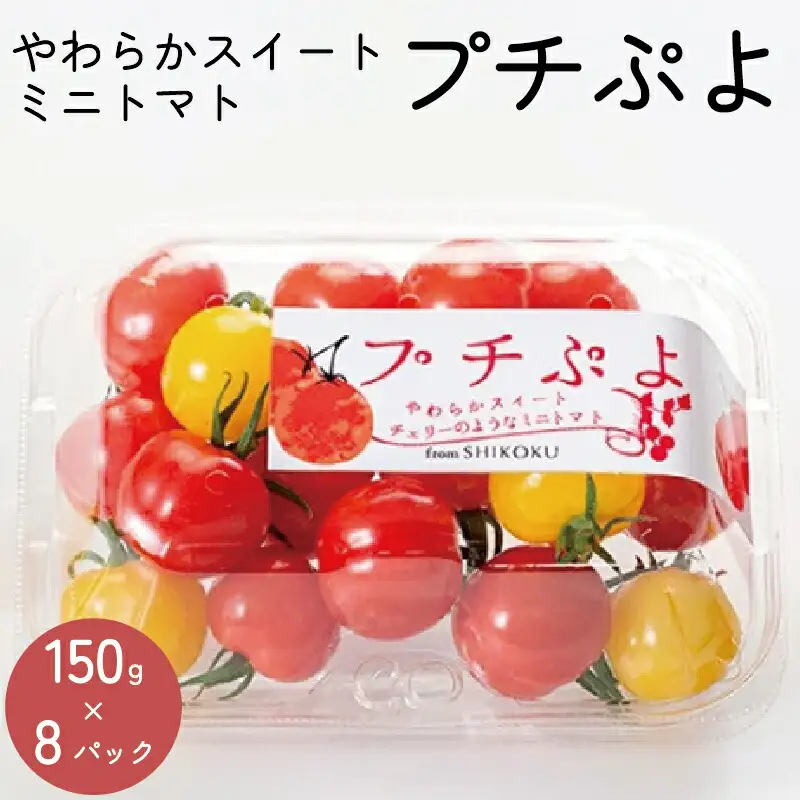 トマト 薄皮 プチぷよ 1.2kg (150g×8)  ミニトマト