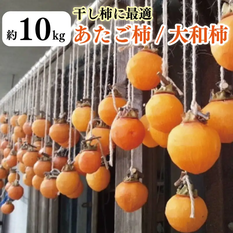 柿 10kg かき 干し柿に最適 あたご柿 大和柿