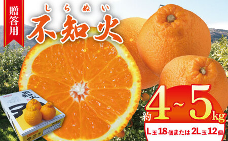 【不知火】 約 4kg から 5kg（L玉18個 または 2L玉 12個) 不知火 みかん しらぬい