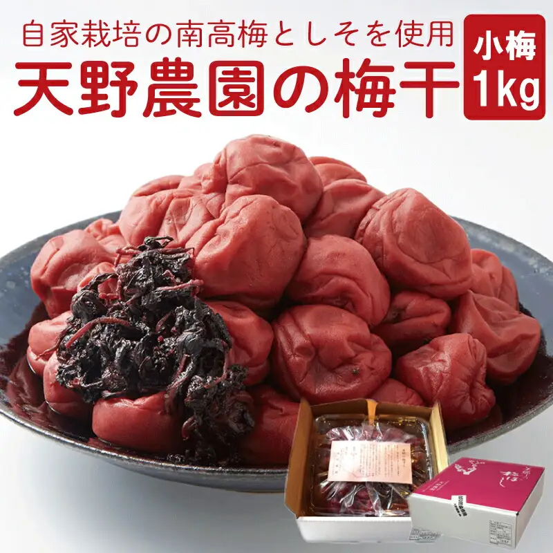 【 梅干し 】 小梅 1kg 南高梅