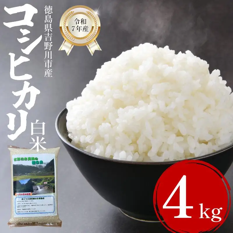 米 白米 4kg （2kg × 2袋 ）コシヒカリ 令和7年度産