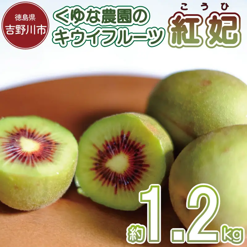 キウイフルーツ 1.2kg 紅妃 2026年10月上旬～ キウイ キウイ