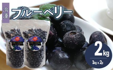 【ふるさと納税】＜ブルーベリー(冷凍) 2kg＞高知県 佐川町 果物 フルーツ 国産 【冷凍】冷凍ブルーベリー ＜4～6ヶ月程度で発送＞