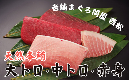 創業以来130年 三崎港老舗問屋「西松」厳選 天然本鮪 満喫詰め合わせ 660g M040-005 冷凍 マグロ