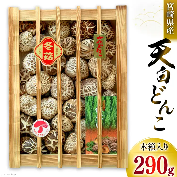 宮崎県産 乾椎茸 ギフト 天白 どんこ 「K-100」 290g 肉厚 [岡田商店 宮崎県 美郷町 31ac0037]