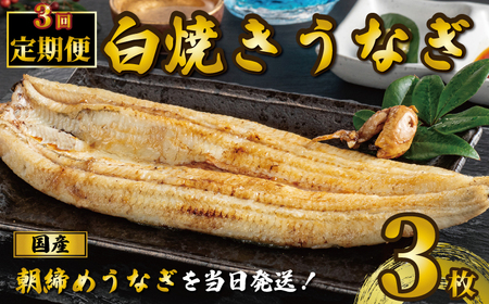 国産うなぎ 白焼き 3枚 約120g×3 定期便3回 うなぎ うなぎ うなぎ うなぎ うなぎ 石毛川魚店