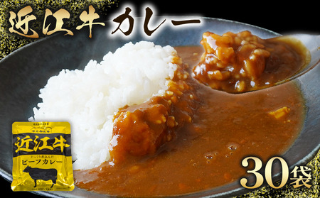 近江牛 カレー 160g × 30袋 セット 黒毛和牛  牛肉  4800g レトルト 【カレー】