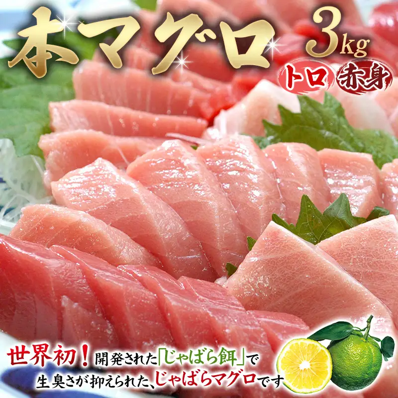 まぐろ 本マグロ（養殖）トロ＆赤身セット 3kg【nks112】