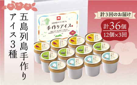 【全3回定期便】アイス3種 計12個[RAX017] アイス スイーツ お菓子 定期便 アイス スイーツ お菓子 定期便 アイス スイーツ お菓子 定期便九州 長崎