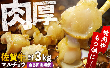 【全6回定期便】 【脂が甘くてぷりっぷり！】佐賀牛ホルモン 焼肉用 小腸 計3kg（250g/袋）味付けなし 吉野ヶ里町/やきとり紋次郎[FCJ092]