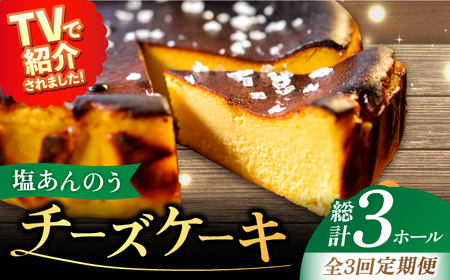 【全3回定期便】チーズケーキ 塩あんのう ケーキ 塩 芋 スイーツ お菓子 菓子[RBA017] チーズケーキ 定期便 チーズケーキ 定期便 チーズケーキ 定期便 チーズケーキ 定期便九州 長崎