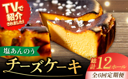 【全6回定期便】チーズケーキ 塩あんのう 2個 ケーキ 塩 芋 スイーツ お菓子 菓子[RBA021] チーズケーキ 定期便 チーズケーキ 定期便 チーズケーキ 定期便 チーズケーキ 定期便九州 長崎