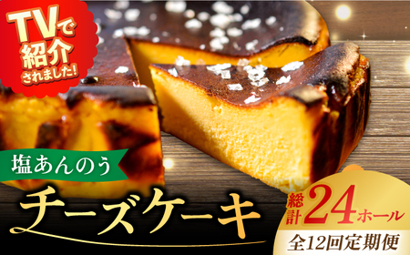 【全12回定期便】チーズケーキ 塩あんのう 2個 ケーキ 塩 芋 スイーツ お菓子 菓子[RBA022] チーズケーキ 定期便 チーズケーキ 定期便 チーズケーキ 定期便九州 長崎