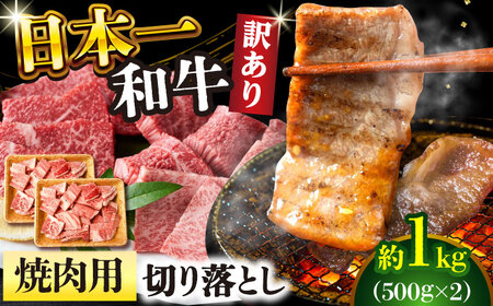 訳あり A4-A5 長崎和牛 焼肉切り落とし 500g×2 (肩ロース・バラ） [DBS004] 訳アリ 牛肉