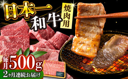 【2回定期便】A4-A5 長崎和牛 焼肉用 500g [DBS033] 牛肉 焼肉用