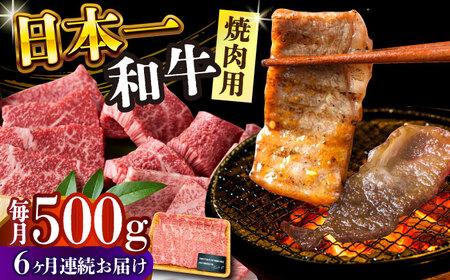 【6回定期便】 A4-A5 長崎和牛 焼肉用 500g [DBS035] 牛肉 焼肉用