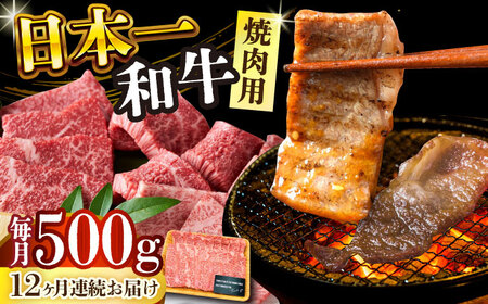 【12回定期便】 A4-A5 長崎和牛 焼肉用 500g [DBS036] 牛肉 焼肉用