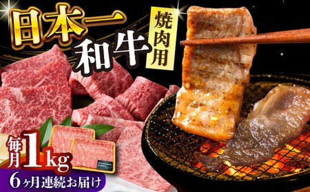 【6回定期便】 A4-A5 長崎和牛 焼肉用 500g×2 [DBS039] 牛肉 焼肉用