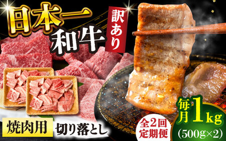 【2回定期便】【訳あり】 A4-A5 長崎和牛 焼肉切り落とし 500g×2 (肩ロース・バラ)   [DBS045] 訳アリ 牛肉
