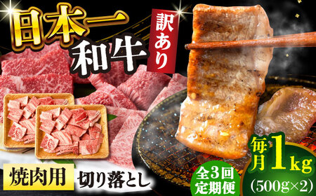 【3回定期便】【訳あり】 A4-A5 長崎和牛 焼肉切り落とし 500g×2 (肩ロース/バラ)  [DBS046] 訳アリ 牛肉