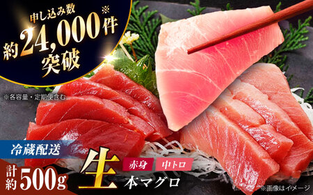 【冷蔵だから人気！】生本マグロ 赤身 中トロ 計約500g [RBP003] 