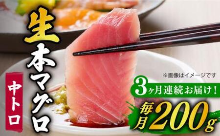 【全3回定期便】五島列島産養殖生本かみマグロ 中トロ 200g [RBP026] 本マグロ 本まぐろ 本鮪 本マグロ 本まぐろ 本鮪 本マグロ 本まぐろ 本鮪 本マグロ 本まぐろ 本鮪九州 長崎